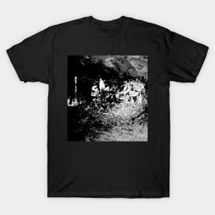 The Man walking T-Shirt